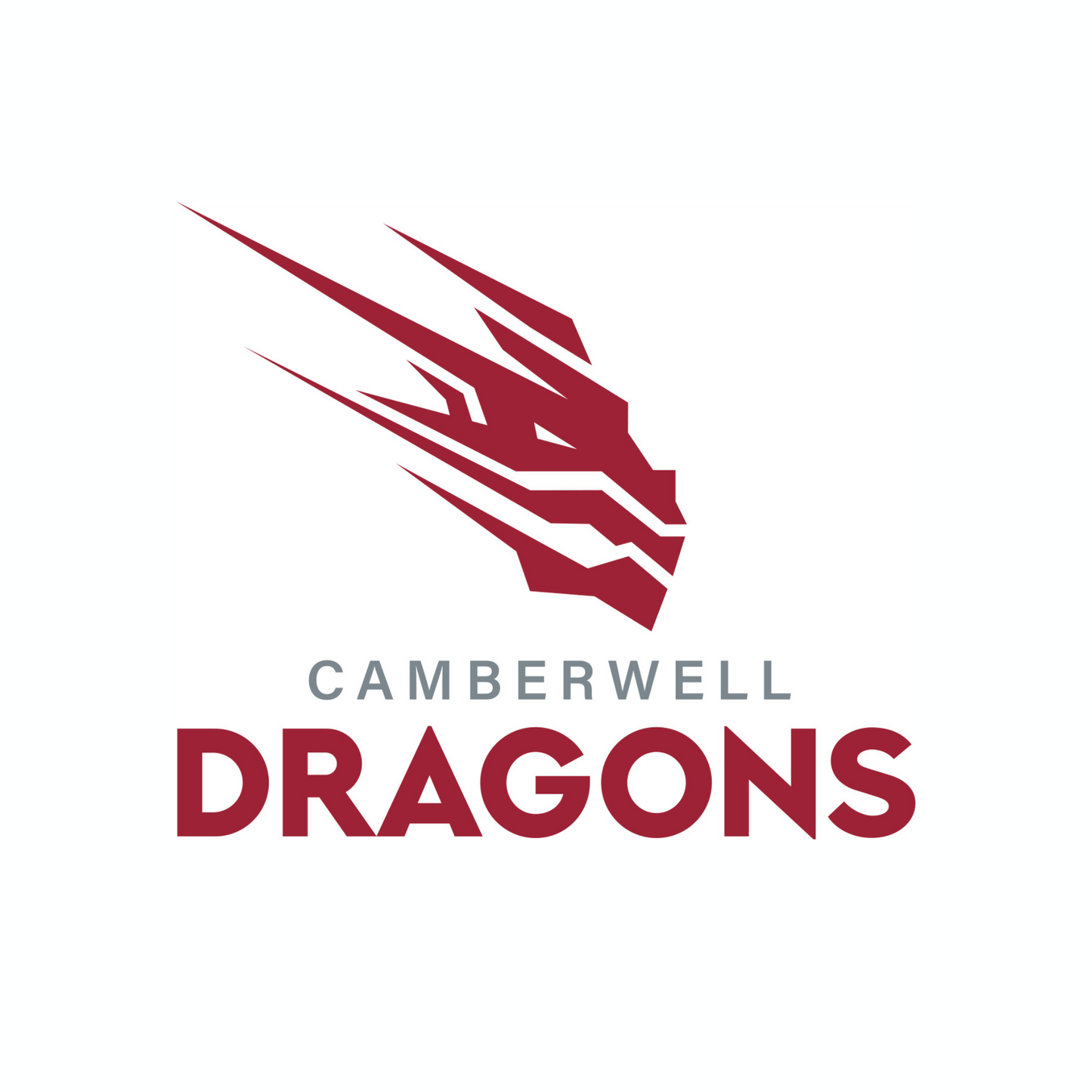 Dragons Jibbitz