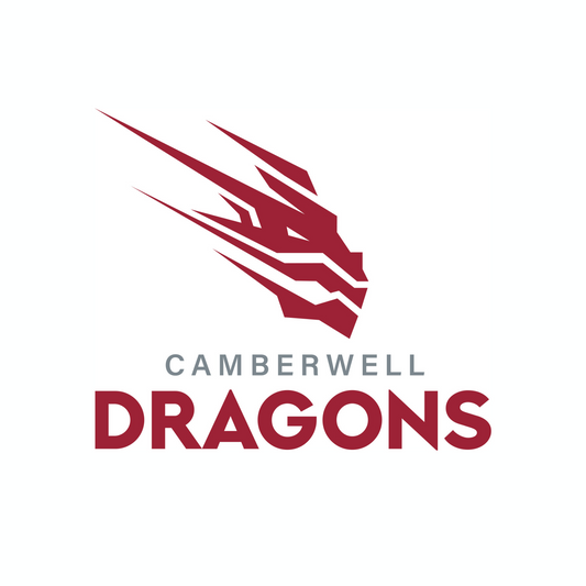 Dragons Jibbitz